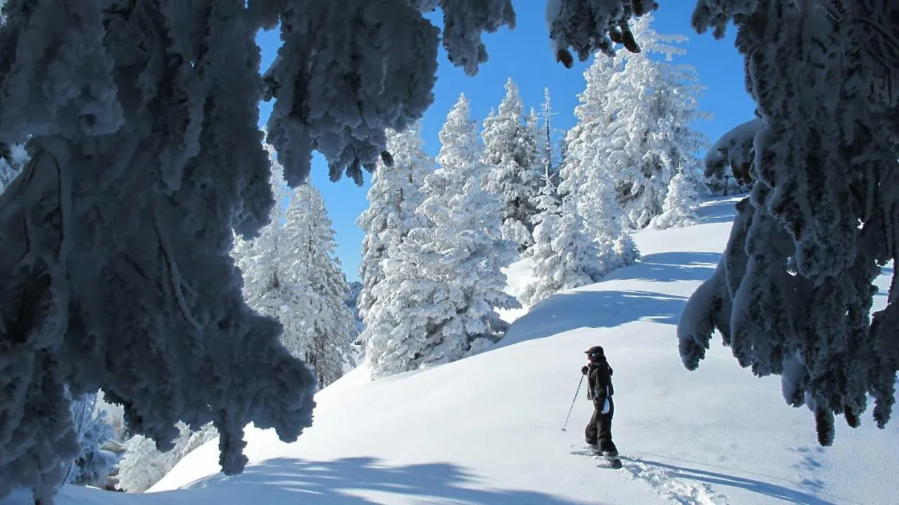 Appartamento Bellevue Centre, Wifi, Mountain View Les Carroz d'Araches